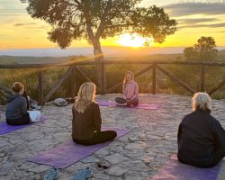 Imagen de WhatsApp 2025-11-14 a las 22.22.16_66c3b7e7