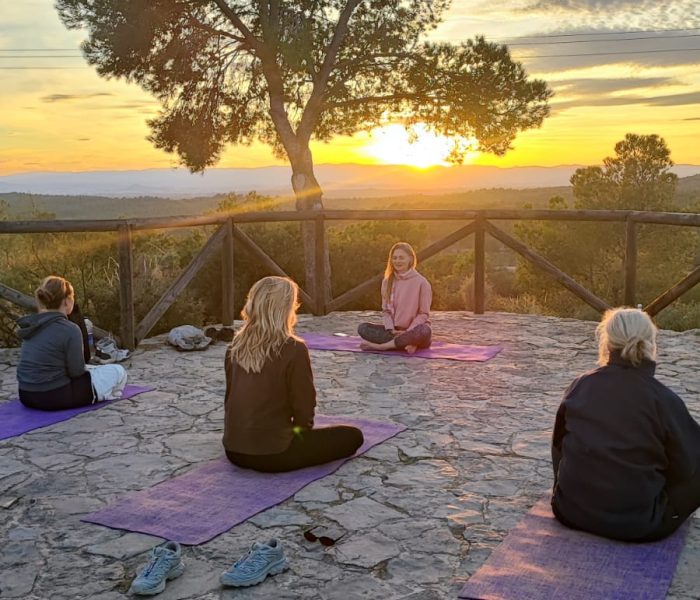 Imagen de WhatsApp 2025-11-14 a las 22.22.16_66c3b7e7