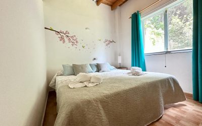 Room 1 cama matrimonio