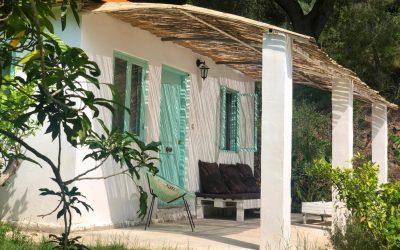 Sunset-bungalow-organic-farm Sunset-bungalow-organic-farm