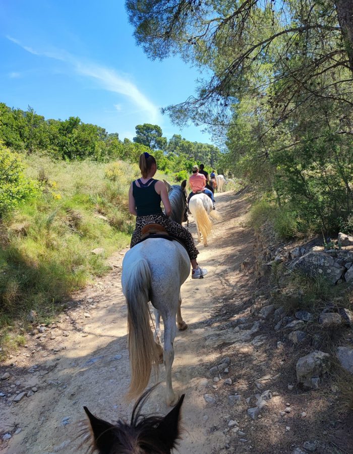 horse riding